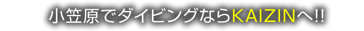 小笠原でダイビングならKAIZINへ！！